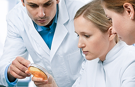 Encoratgem el professionalisme